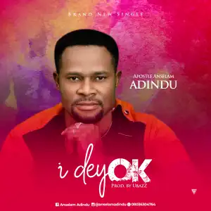 Apostle Anselam Adindu - I Dey Ok